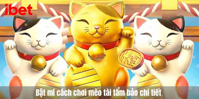 Mèo tài tẩm bảo