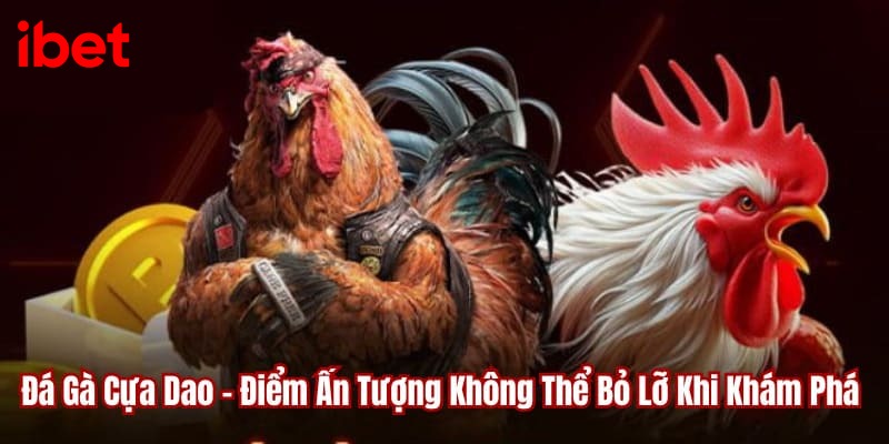 đá gà cựa dao