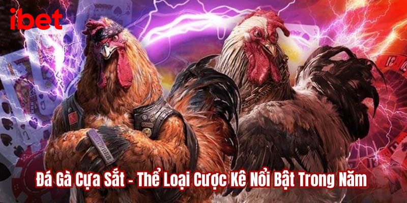 đá gà cựa sắt