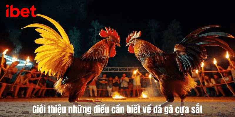 đá gà cựa sắt