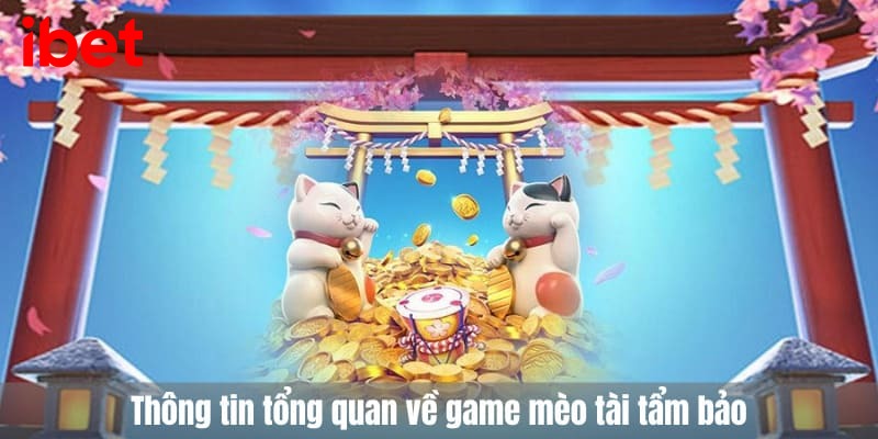 Mèo tài tẩm bảo